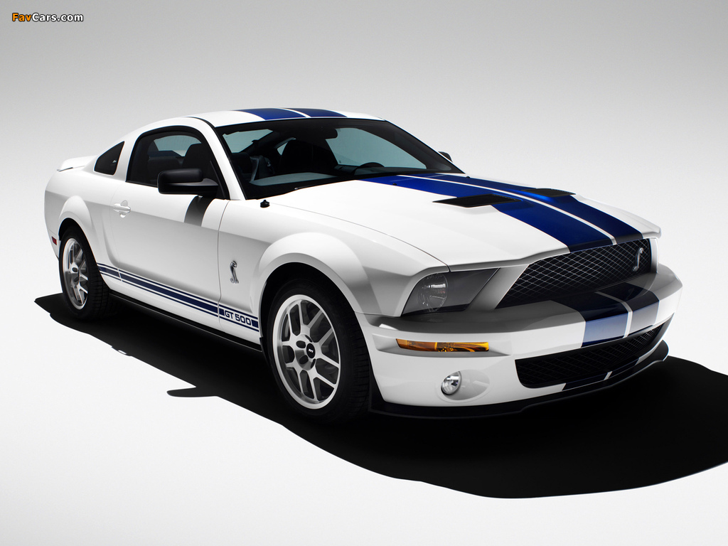 Images of Shelby GT500 2005–08 (1024 x 768)