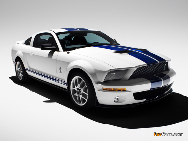 Images of Shelby GT500 2005–08 (640 x 480)