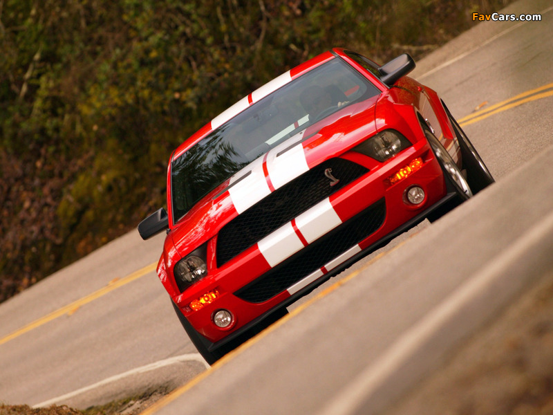 Images of Shelby GT500 2005–08 (800 x 600)