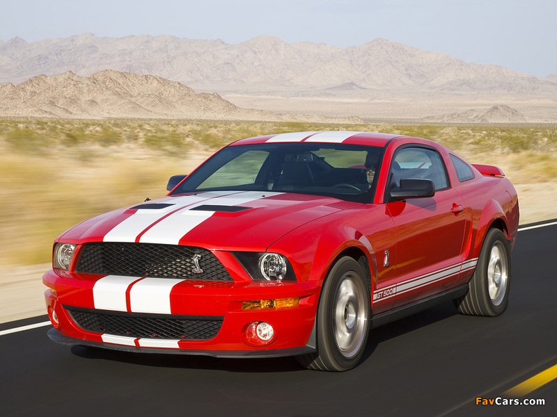 Images of Shelby GT500 2005–08 (800 x 600)