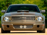 Images of Foose Design Mustang Stallion 2006