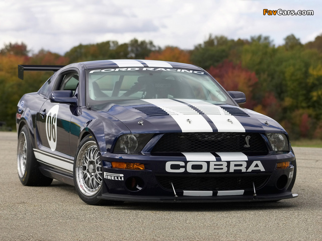 Images of Mustang FR500 GT 2006 (640 x 480)