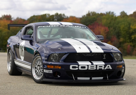 Images of Mustang FR500 GT 2006