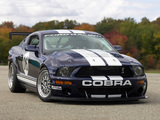 Images of Mustang FR500 GT 2006