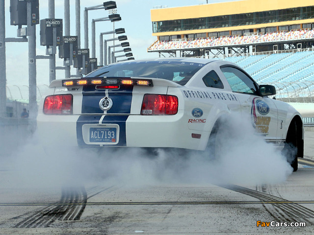 Images of Shelby GT500 NASCAR Pace Car 2007 (640 x 480)