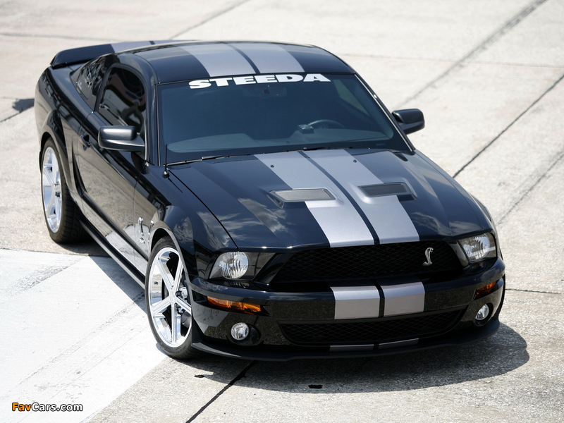 Images of Steeda GT500 2007 (800 x 600)