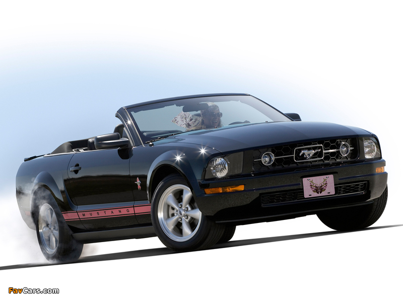 Images of Mustang Convertible Warriors in Pink 2008 (800 x 600)
