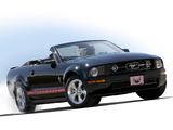 Images of Mustang Convertible Warriors in Pink 2008