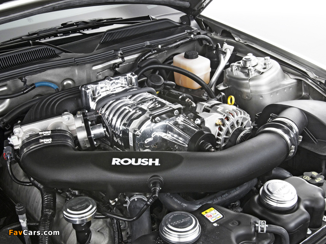 Images of Roush 428R 2008 (640 x 480)