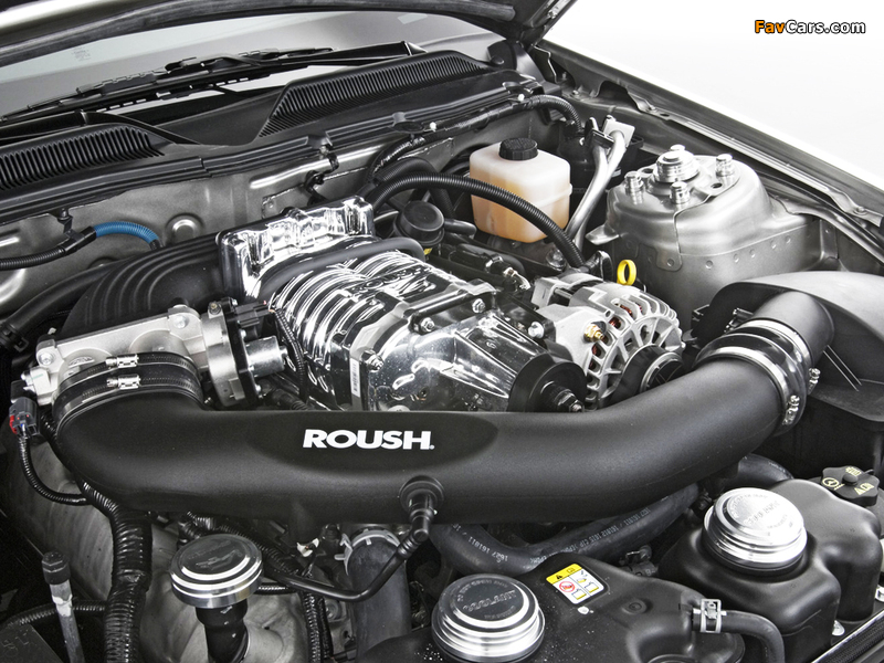 Images of Roush 428R 2008 (800 x 600)