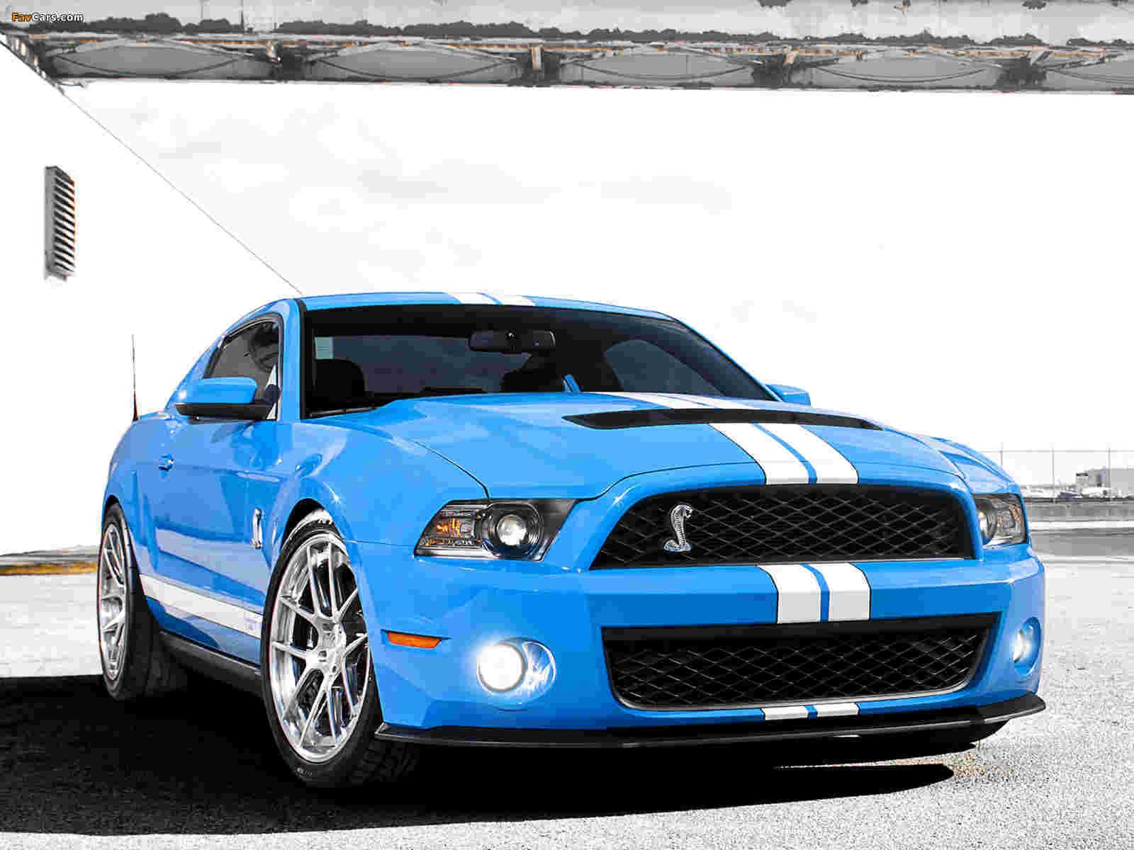 Images of Shelby GT500 2009–10 (1600 x 1200)