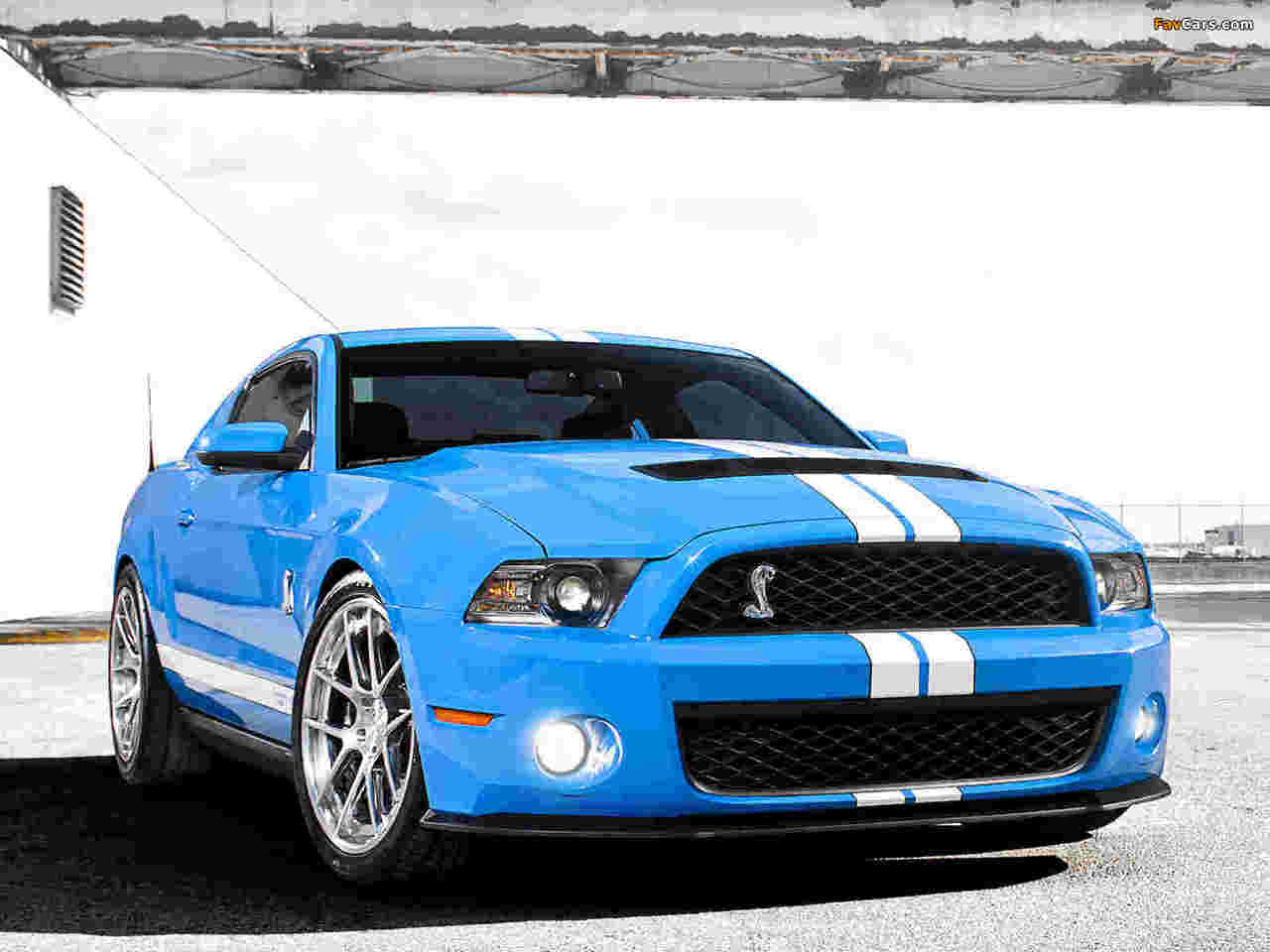 Images of Shelby GT500 2009–10 (1280 x 960)