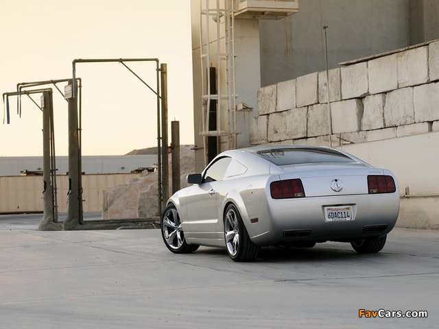 Images of Mustang Iacocca 45th Anniversary Edition 2009 (640 x 480)