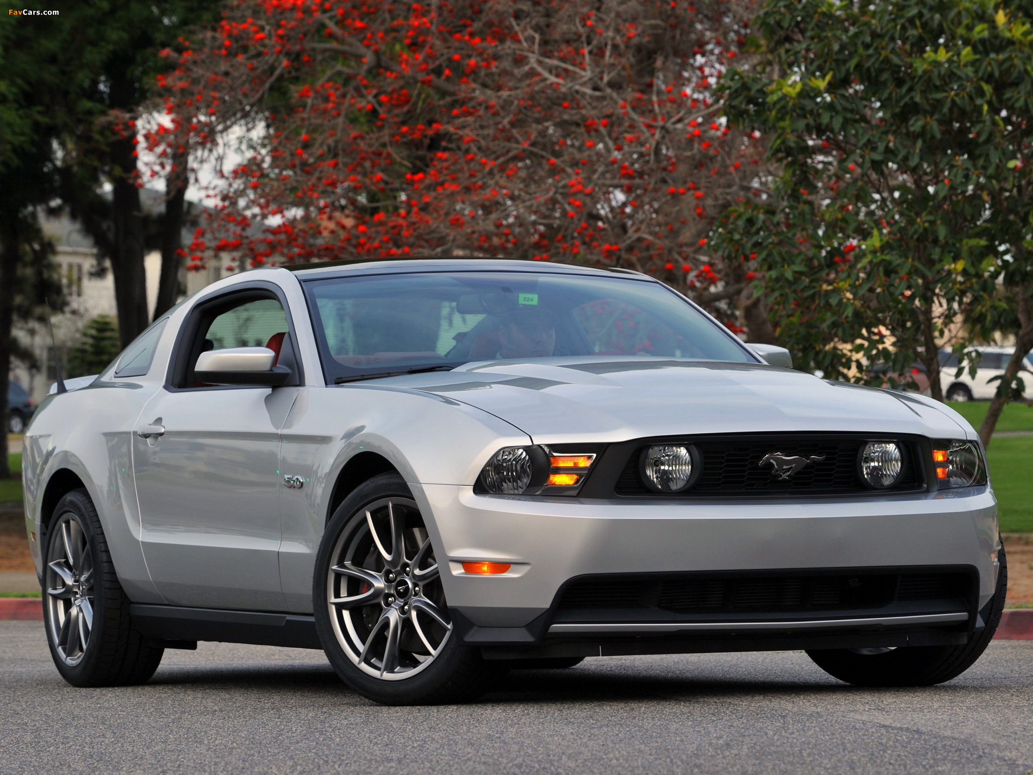 Images of Mustang 5.0 GT 2010–12 (2048 x 1536)