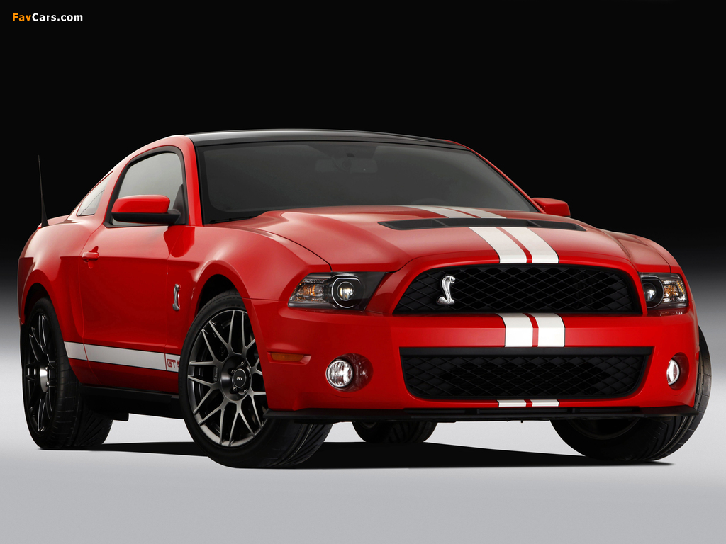 Images of Shelby GT500 SVT 2010–12 (1024 x 768)