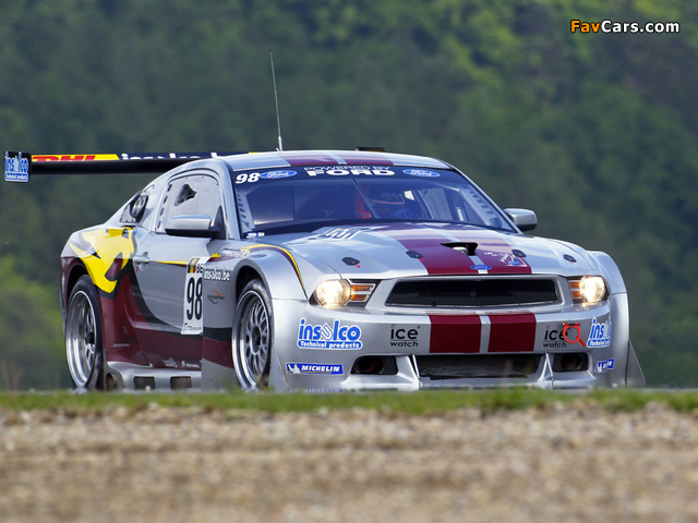 Images of Mustang GT3 2010 (640 x 480)