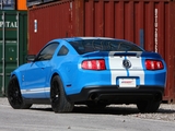 Images of Geiger Shelby GT500 2010