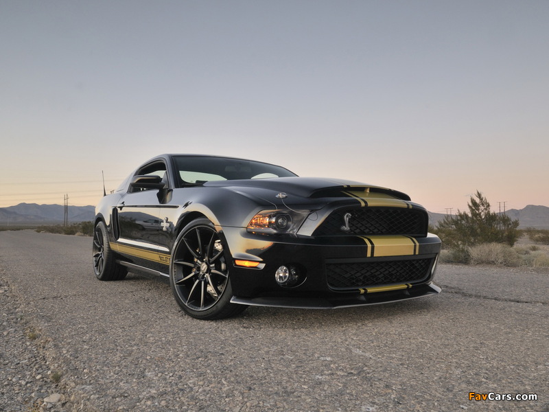 Images of Shelby GT500 Super Snake 50th Anniversary 2012 (800 x 600)