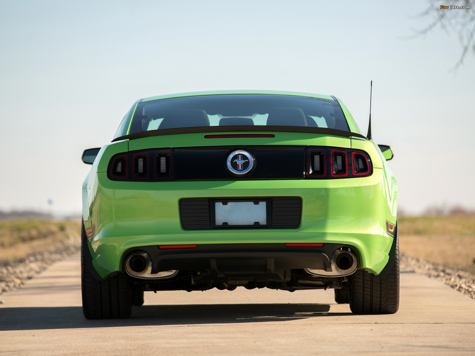 Images of Ford Mustang Boss 302 2012–2014 (1600 x 1200)