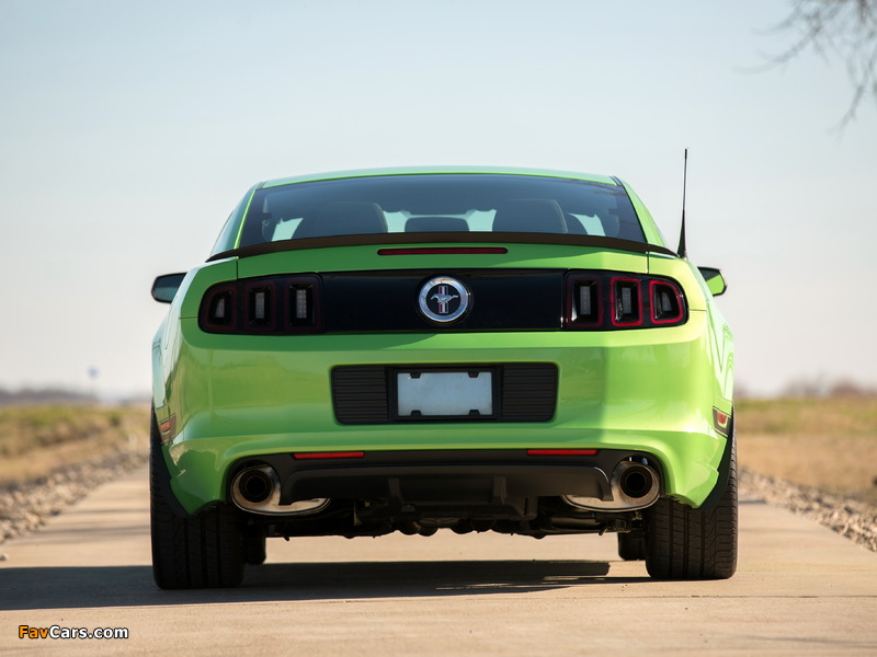 Images of Ford Mustang Boss 302 2012–2014 (800 x 600)