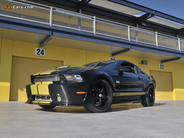 Images of Shelby GT350 50th Anniversary 2012 (640 x 480)