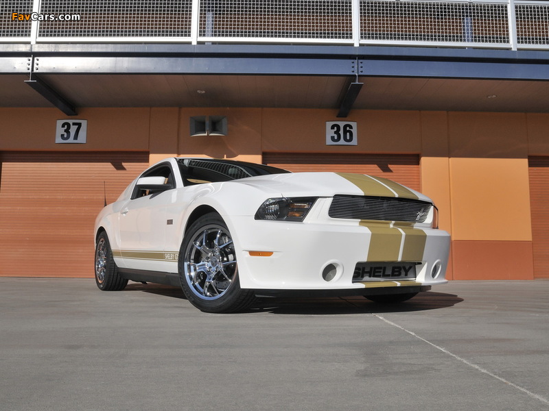 Images of Shelby GTS 50th Anniversary 2012 (800 x 600)