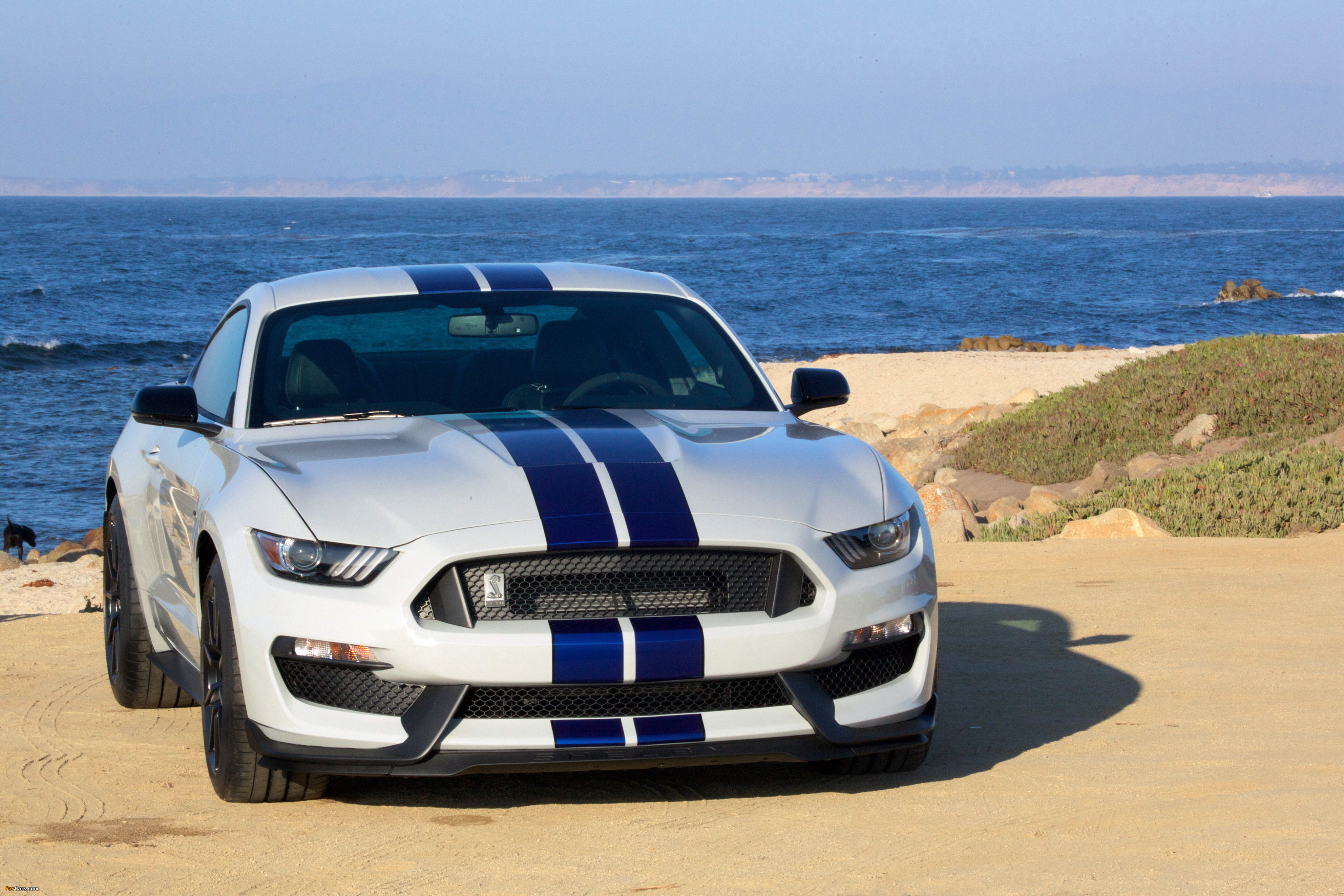 Images of Shelby GT350 Mustang 2015 (4096 x 2731)