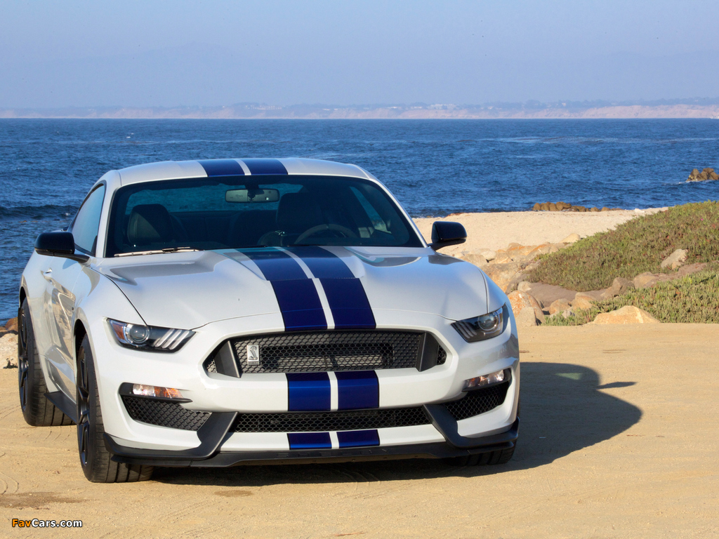 Images of Shelby GT350 Mustang 2015 (1024 x 768)