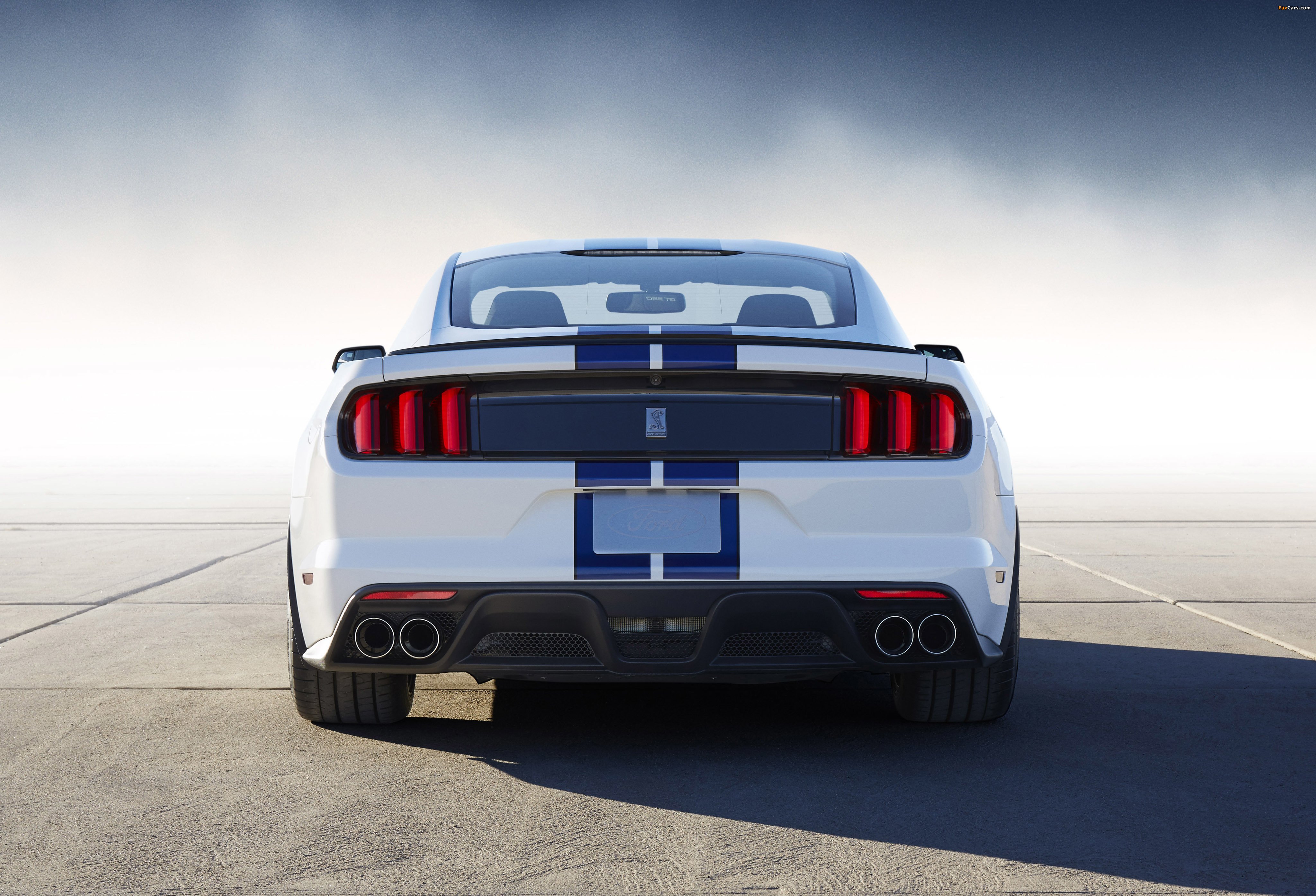 Images of Shelby GT350 Mustang 2015 (4096 x 2789)