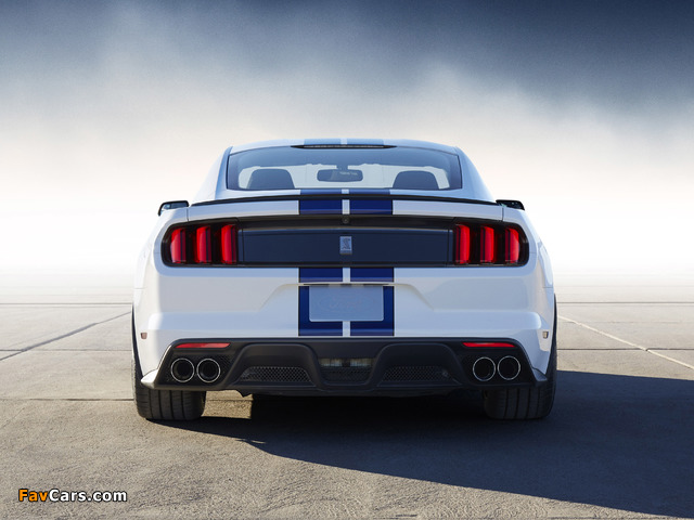 Images of Shelby GT350 Mustang 2015 (640 x 480)