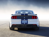 Images of Shelby GT350 Mustang 2015