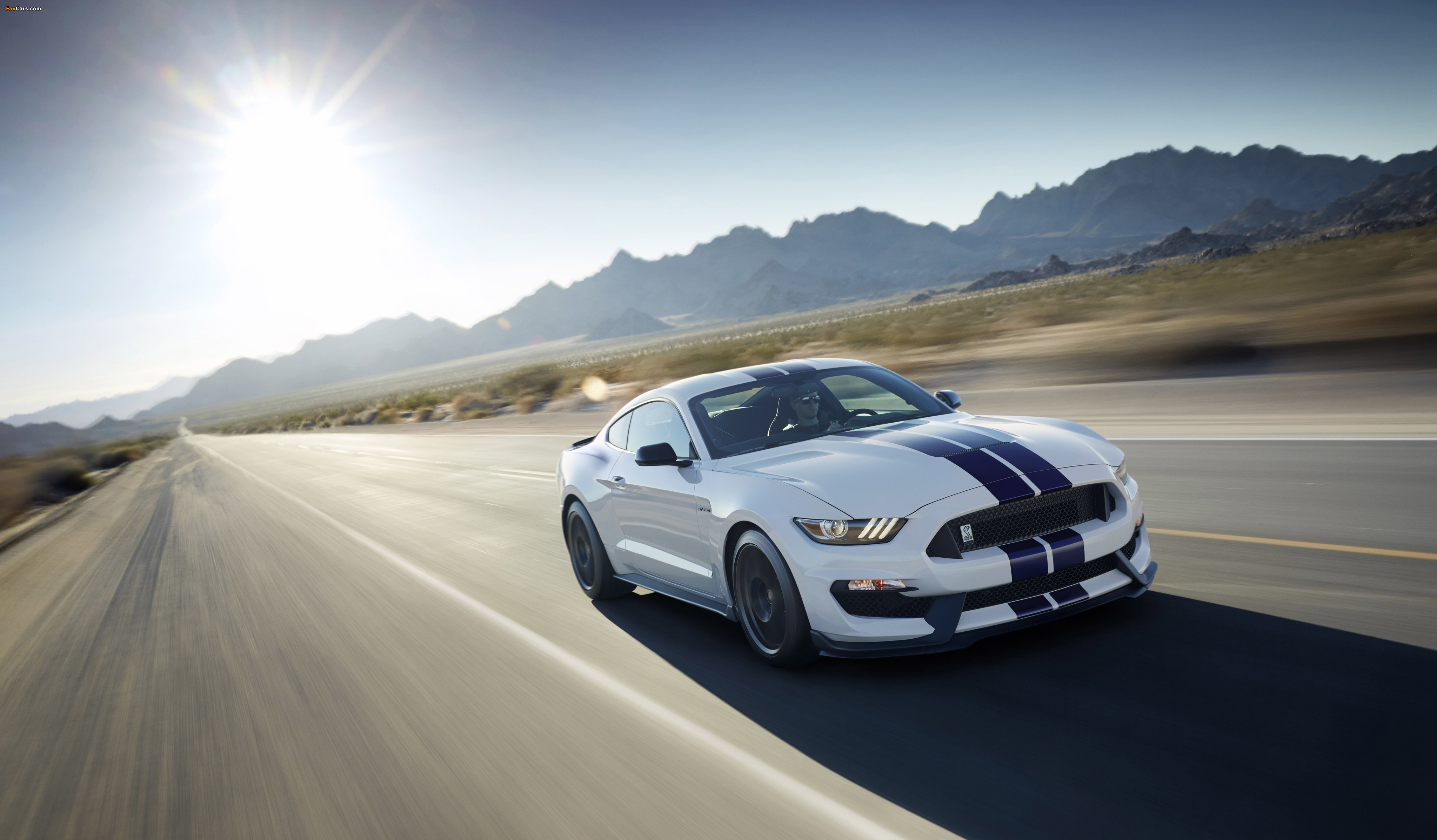 Images of Shelby GT350 Mustang 2015 (4096 x 2395)