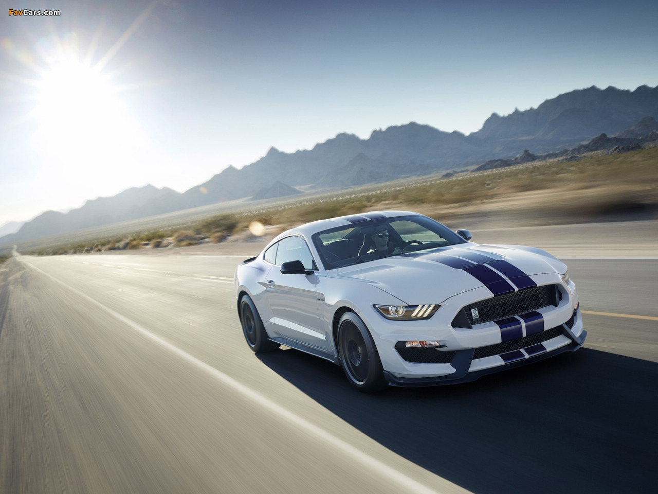 Images of Shelby GT350 Mustang 2015 (1280 x 960)