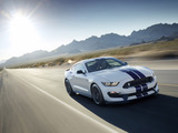 Images of Shelby GT350 Mustang 2015