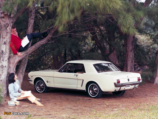Photos of Mustang Coupe 1965 (640 x 480)