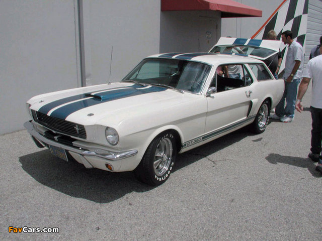Photos of Shelby GT350 Wagon 1966 (640 x 480)