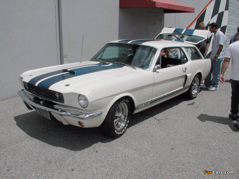 Photos of Shelby GT350 Wagon 1966 (800 x 600)