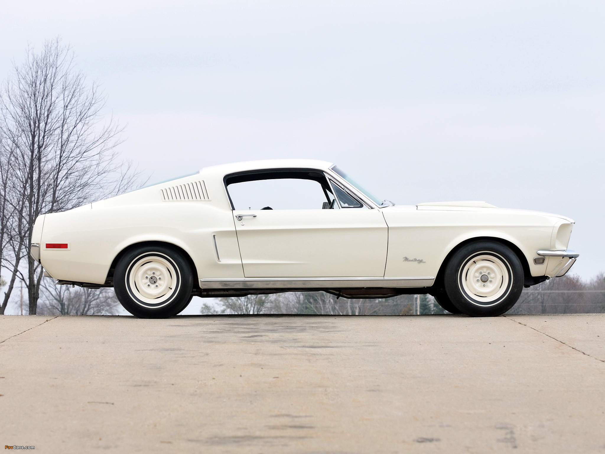 Photos of Mustang Lightweight 428/335 HP Tasca Car 1967 (2048 x 1536)