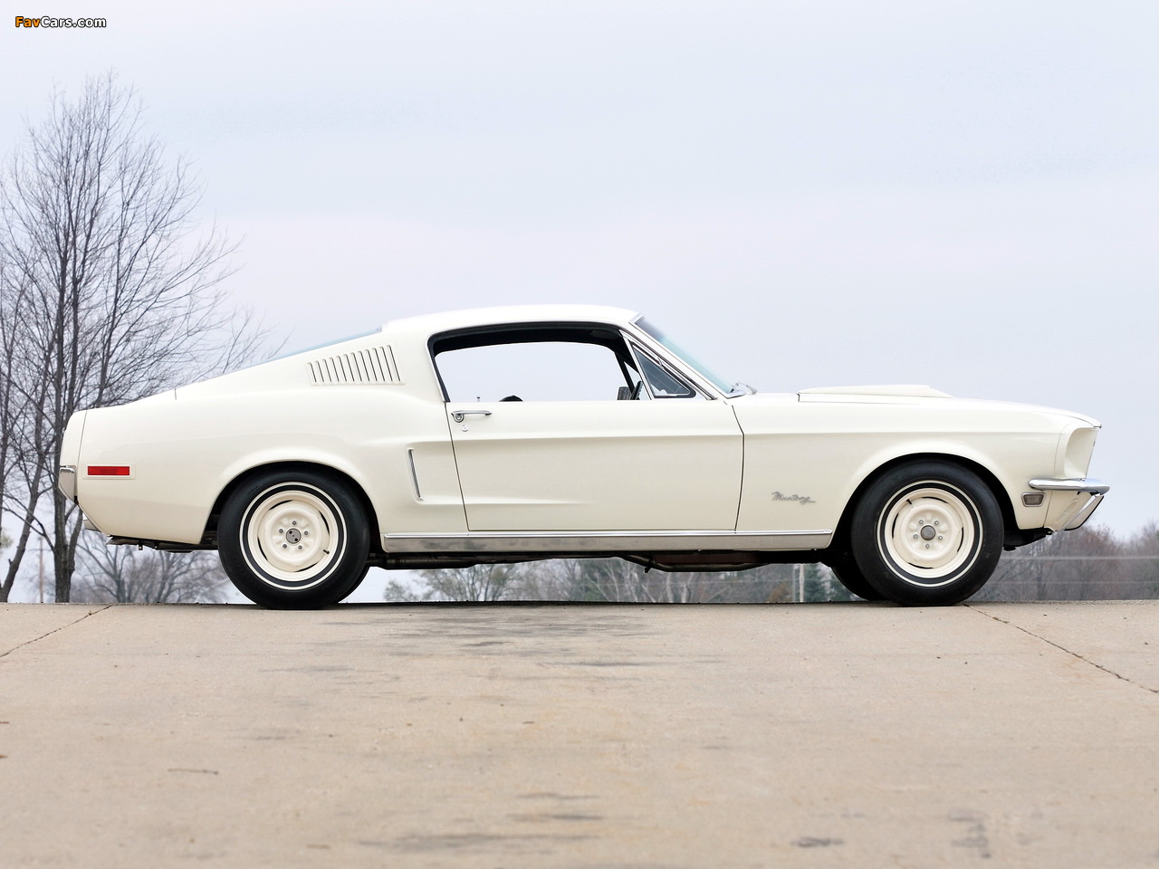Photos of Mustang Lightweight 428/335 HP Tasca Car 1967 (1280 x 960)