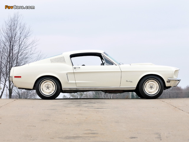 Photos of Mustang Lightweight 428/335 HP Tasca Car 1967 (640 x 480)