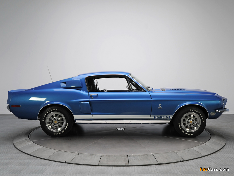 Photos of Shelby GT350 1968 (800 x 600)