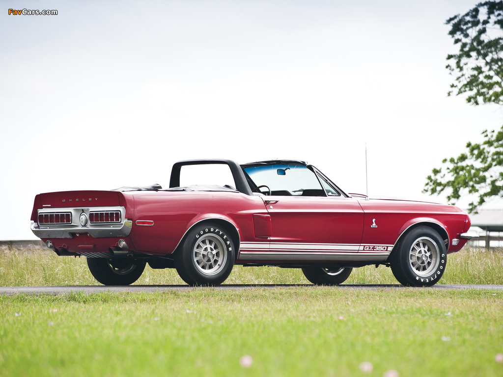 Photos of Shelby GT350 Convertible 1968 (1024 x 768)