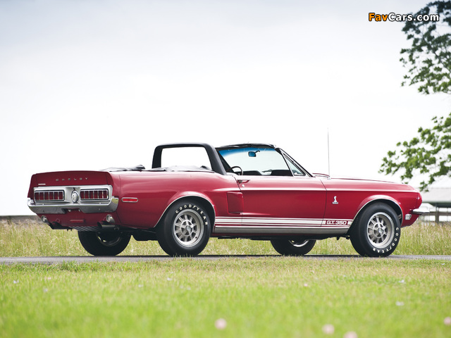 Photos of Shelby GT350 Convertible 1968 (640 x 480)