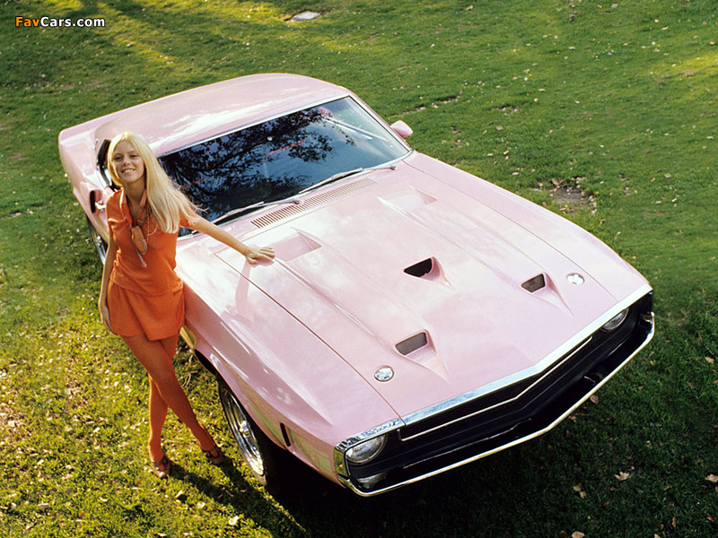 Photos of Shelby GT500 Playmate Pink 1969 (800 x 600)