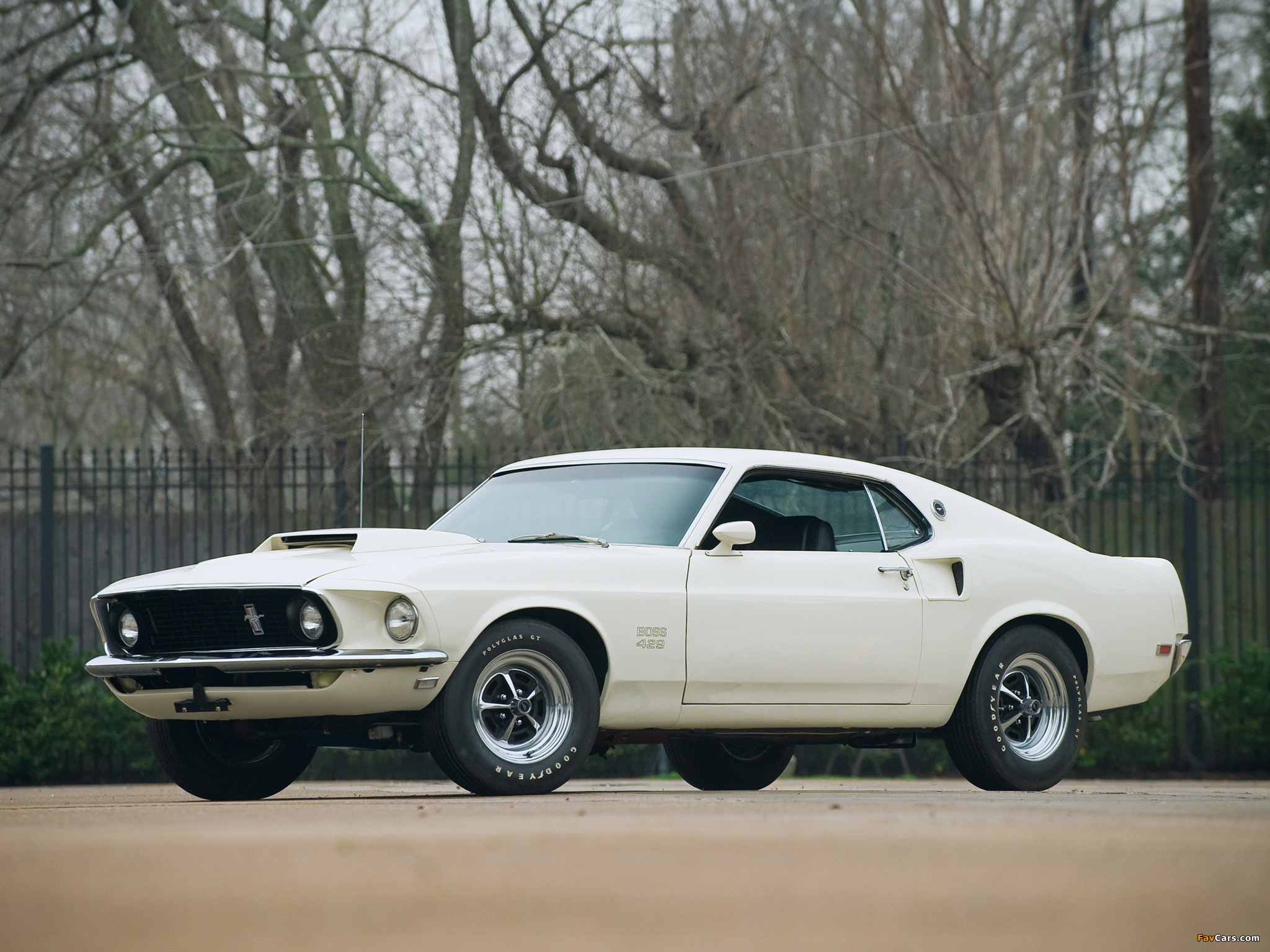 Photos of Mustang Boss 429 1969 (2048 x 1536)