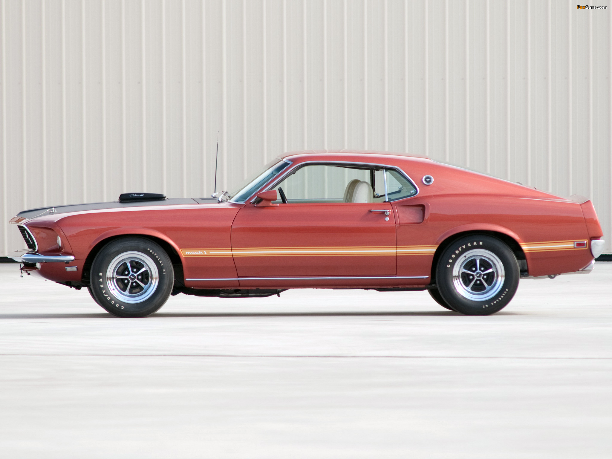 Photos of Mustang Mach 1 428 Super Cobra Jet 1969 (2048 x 1536)