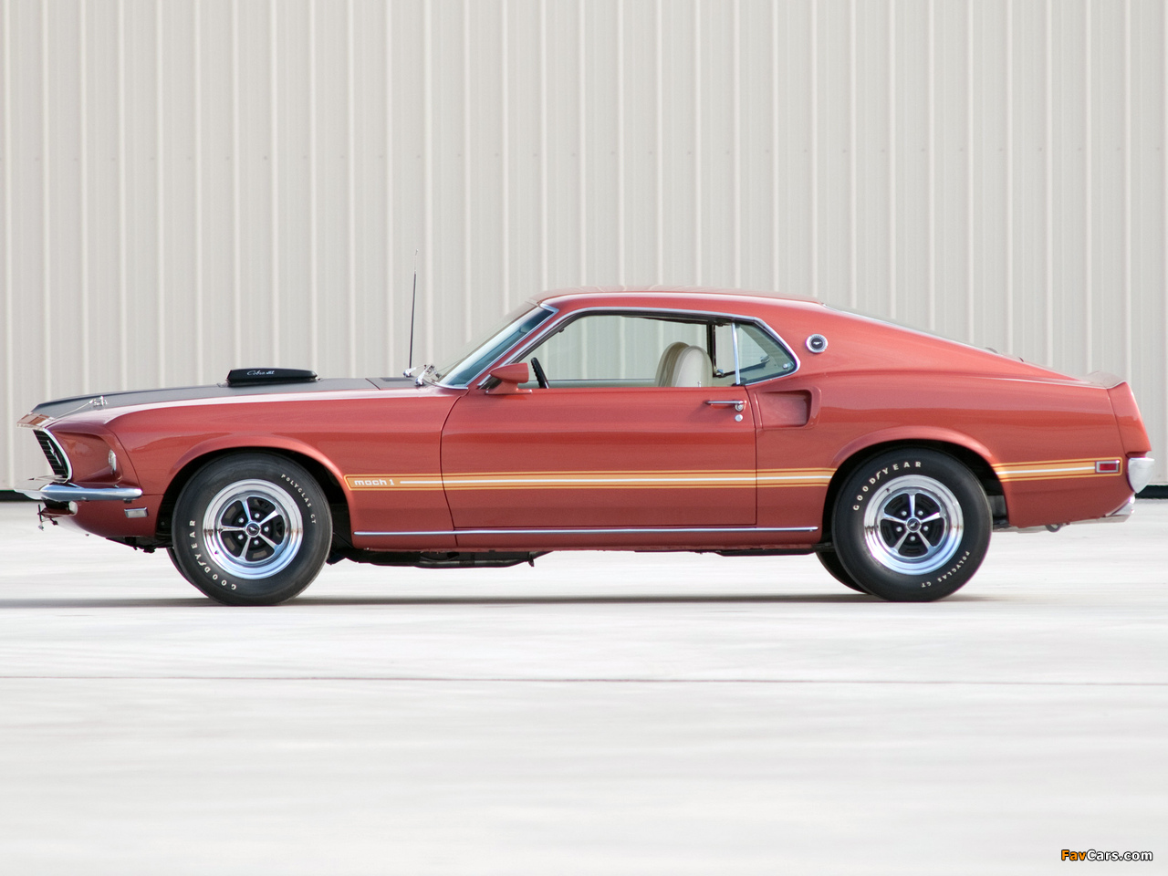 Photos of Mustang Mach 1 428 Super Cobra Jet 1969 (1280 x 960)