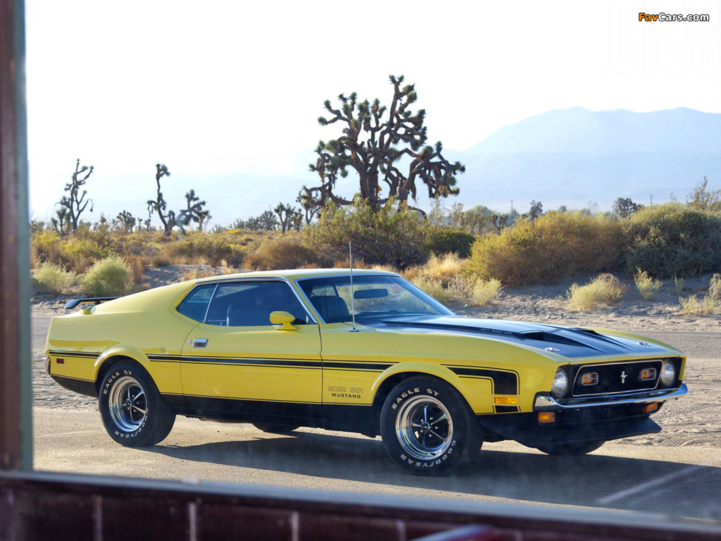 Photos of Mustang Boss 351 1971 (1024 x 768)