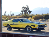 Photos of Mustang Boss 351 1971