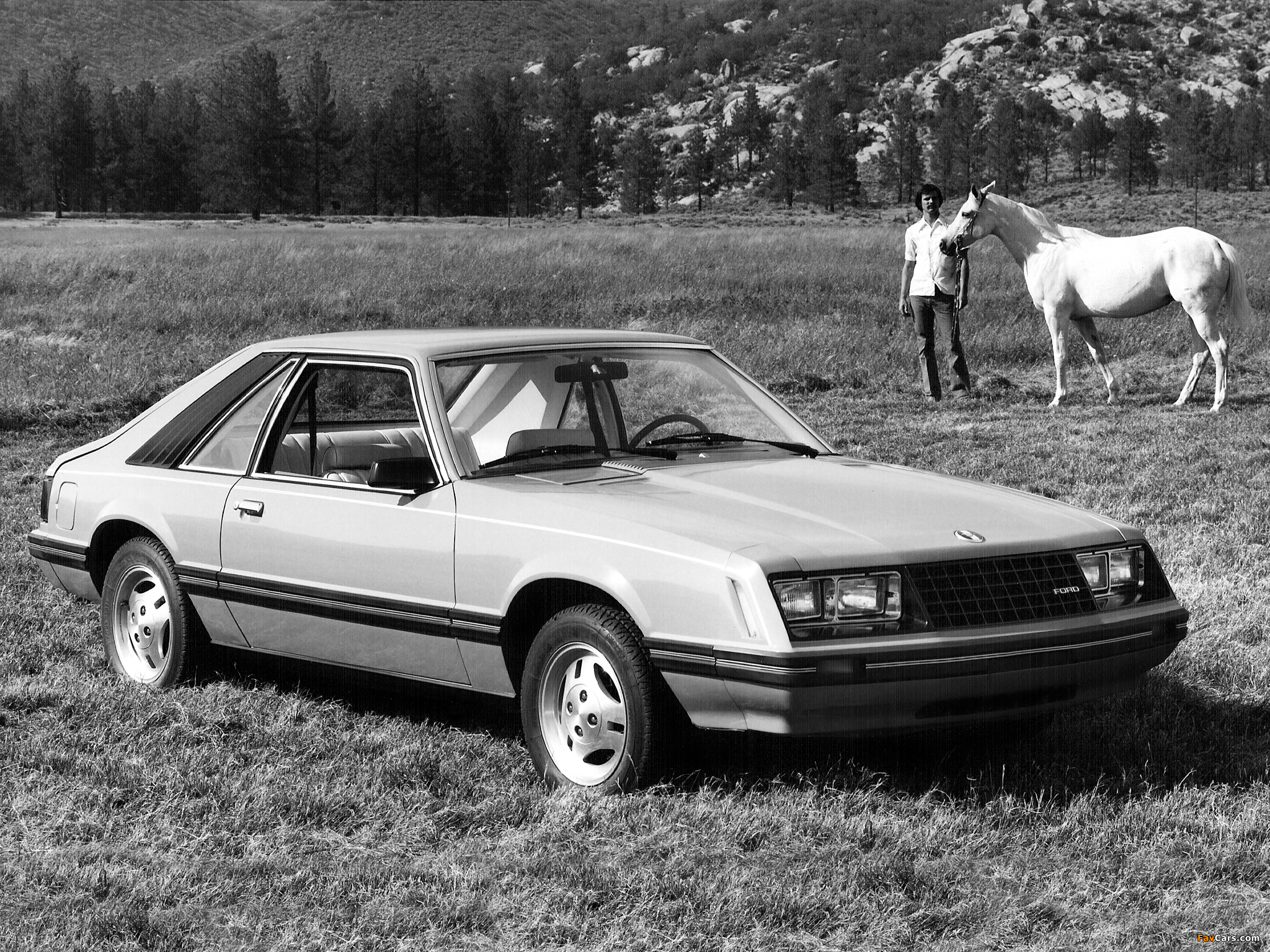 Photos of Mustang Sport 1979 (2048 x 1536)